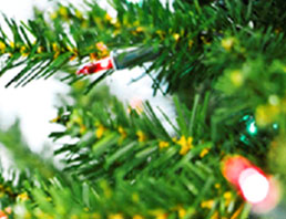 Greetings of the Season