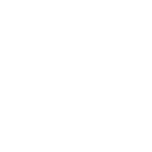 CyberGuru